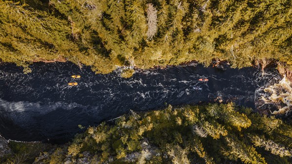 REACH zaštita ljudskog zdravlja