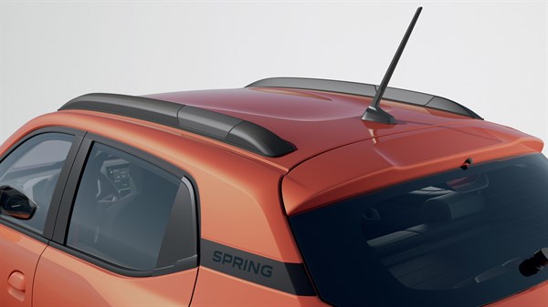 Decorative roof bars - Spring